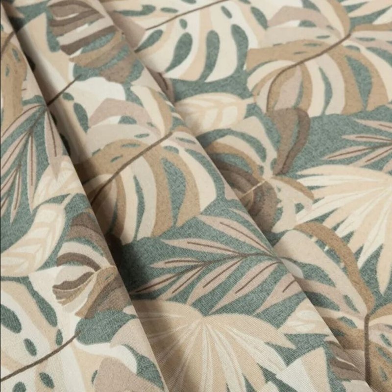 monstera bege